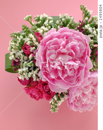 牡丹と薔薇～ピンク背景 1495604