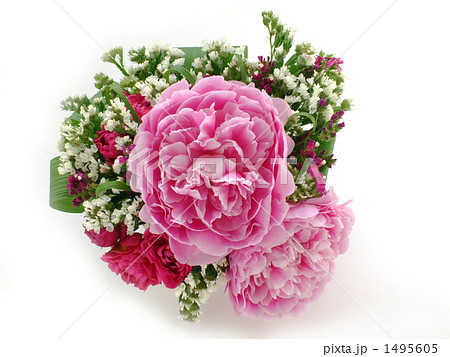 牡丹と薔薇～白背景 1495605
