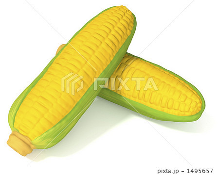 トウモロコシ 1495657