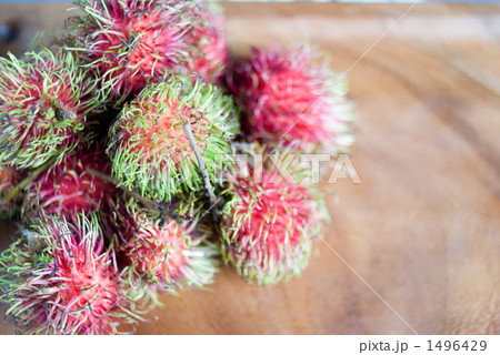 ランブータン ランブータン 1496429