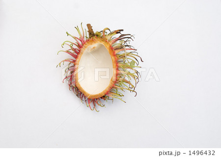 ライオンみたい!ランブータンの皮 ライオンみたい!ランブータンの皮 1496432