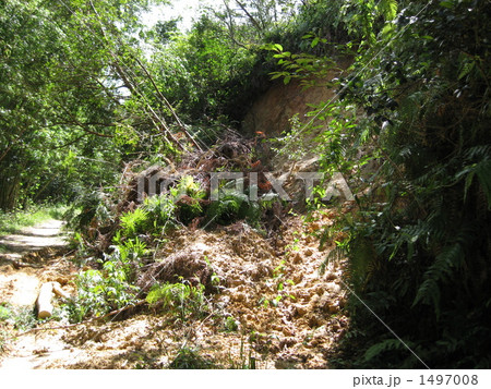林道の土砂災害 1497008