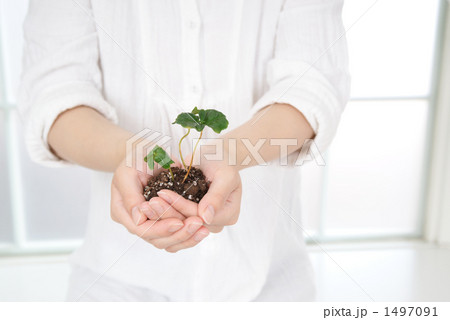 エコのイメージ 1497091