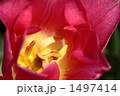 1497414