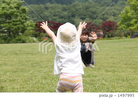 親子 親子 1497995