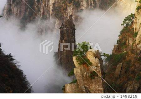 雲に浮かぶ岩峰（中国黄山） 1498219