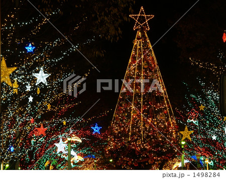 クリスマス・イルミネーション 1498284
