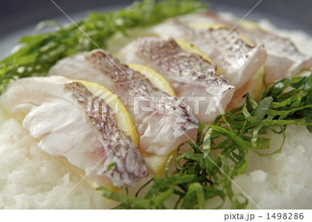 鯛フュージョン料理 鯛フュージョン料理 1498286