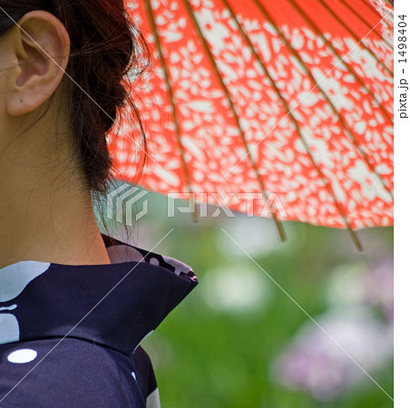 日本女性 1498404