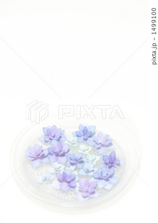 紫陽花-04■城ヶ崎の雨■お皿-八重ガクアジサイ-ガラス器 紫陽花-04■城ヶ崎の雨■お皿-八重ガクアジサイ-ガラス器 1499100