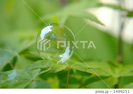 しゃぼん玉 1499251
