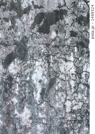 斑模様の壁の写真素材
