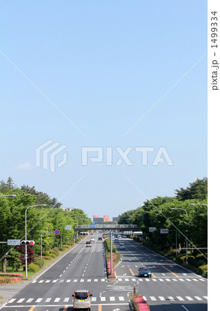 つくば学園都市東大通り つくば学園都市東大通り 1499334