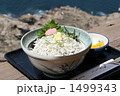 江の島のテラス席でいただくシラス丼 1499343