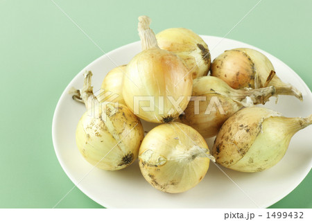 小玉ねぎ 1499432