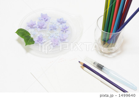紫陽花 07 色鉛筆 郵便はがき ガクアジサイ 絵手紙 水彩 紫色の写真素材