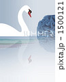 水面に浮かぶ白鳥 水面に浮かぶ白鳥 1500121
