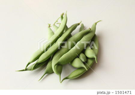採れたて！平莢インゲン「モロッコ」B 1501471
