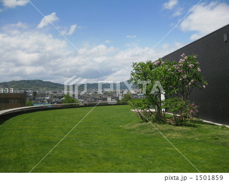 空中庭園 1501859