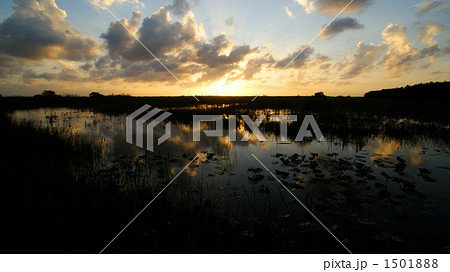 アメリカ　フロリダ州　エバーグレーズ国立公園の夕景 1501888