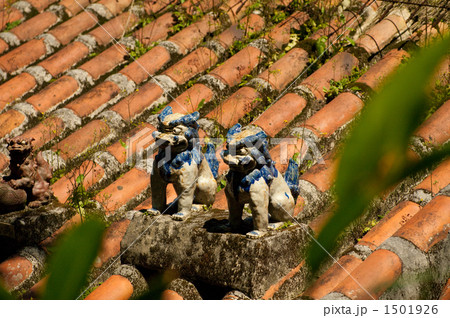 シーサー 1501926