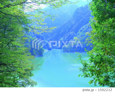 トロッコ電車から 1502212