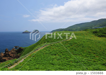 佐渡大野亀に自生するトビシマカンゾウと二つ亀を望む 佐渡大野亀に自生するトビシマカンゾウと二つ亀を望む 1503666