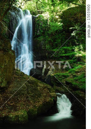 ５月の渓谷 1503900