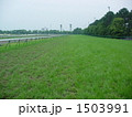 馬場 1503991