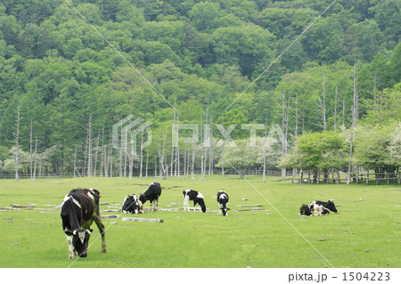 広大 広大 1504223