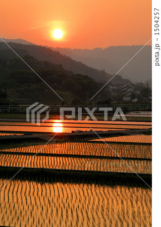 里山の落日 里山の落日 1504257