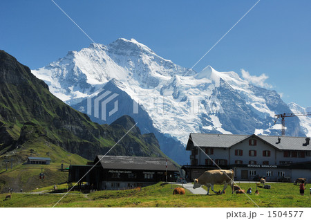 ユングフラウ 1504577