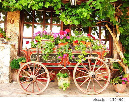 荷車と大輪の花 荷車と大輪の花 1504904