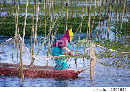 青海苔の作業船 青海苔の作業船 1505632