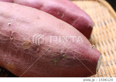 からいも からいも 1506120