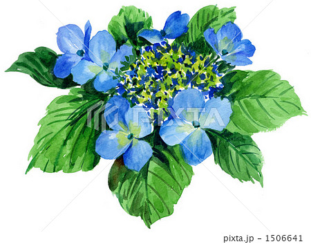 gakuajisai0620z gakuajisai0620z 1506641