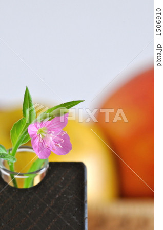 一輪挿しの花 一輪挿しの花 1506910