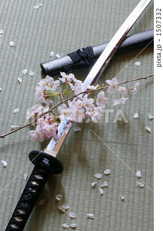 日本刀と桜の写真素材