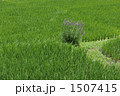 風に吹かれて 1507415