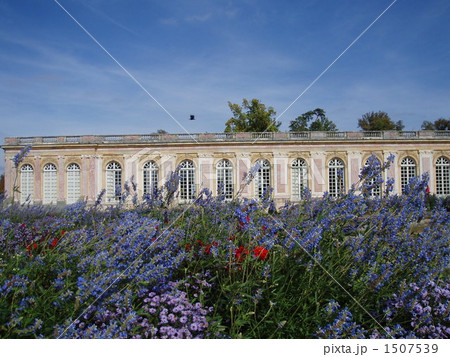 風になびく花と大トリアノン 風になびく花と大トリアノン 1507539