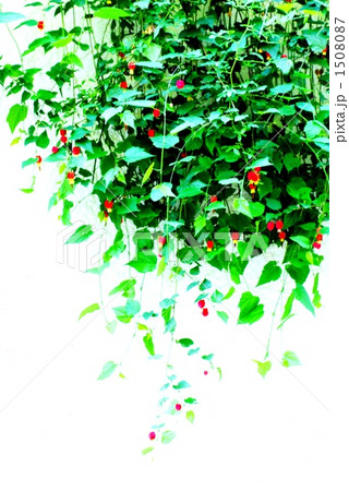 白壁に映えるチロリアンランプ 1508087