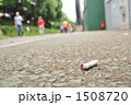 ポイ捨て 1508720