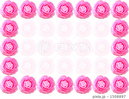 乙女椿の花のフレーム 1508897