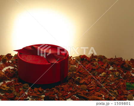 贈物と枯葉 1509801