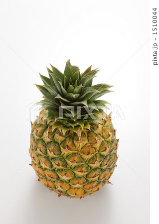パイナップル 1510044