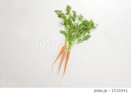 にんじん 1510341