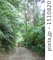 森の郵便屋さん 1510820