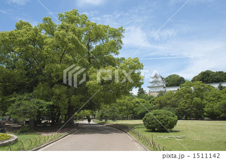明石公園と明石城 1511142