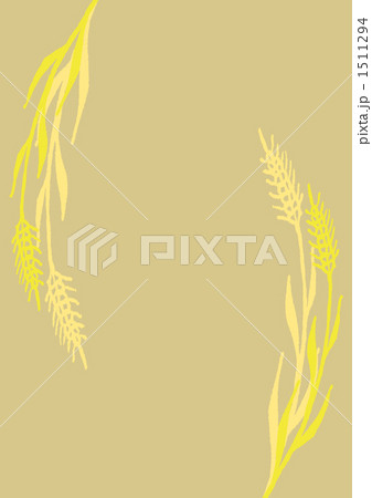 大麦 麦 成長のイラスト素材