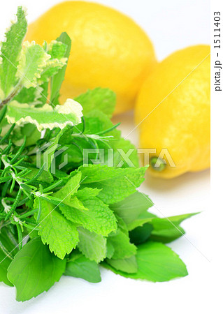 ハーブとレモン 1511403
